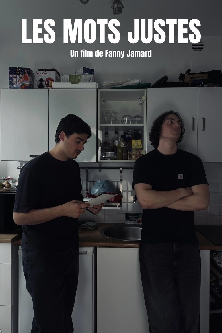 Poster of Les mots justes
