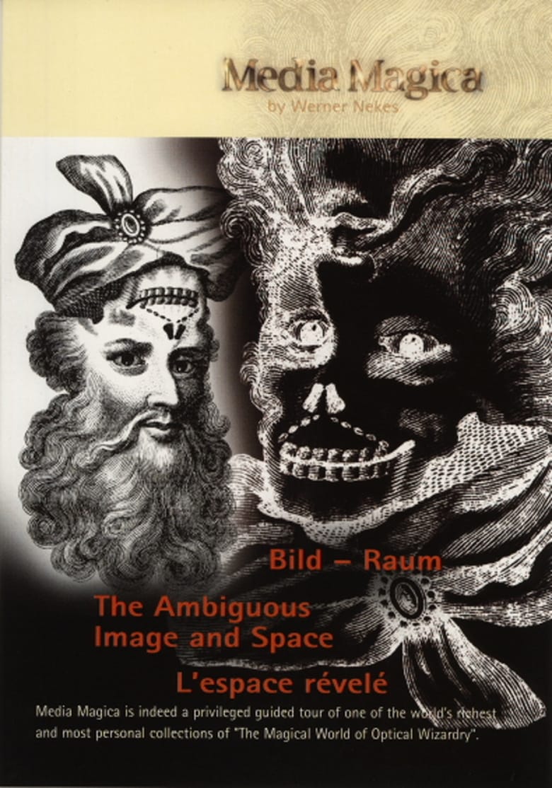 Poster of The Ambiguous Image and Space