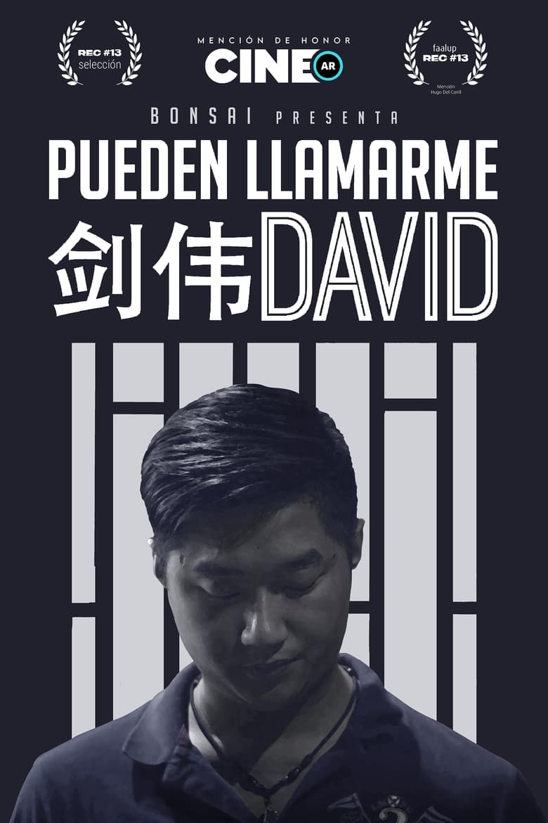 Poster of You May Call Me David