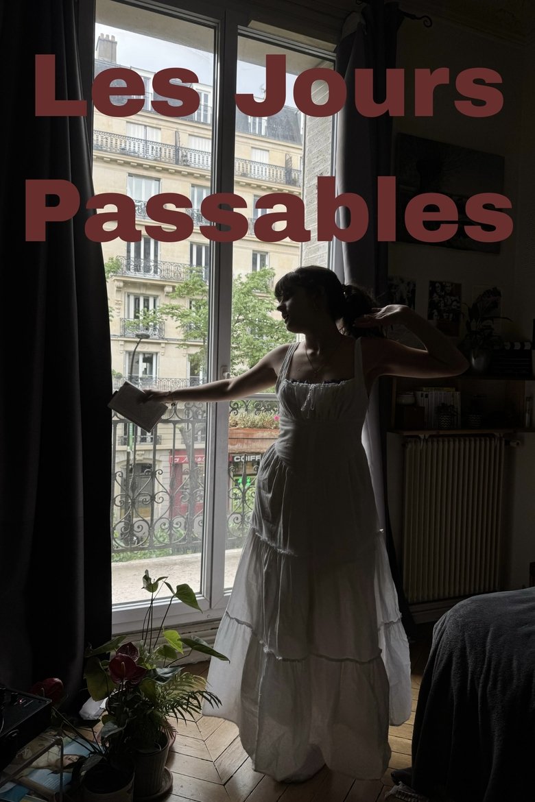 Poster of Les jours passables