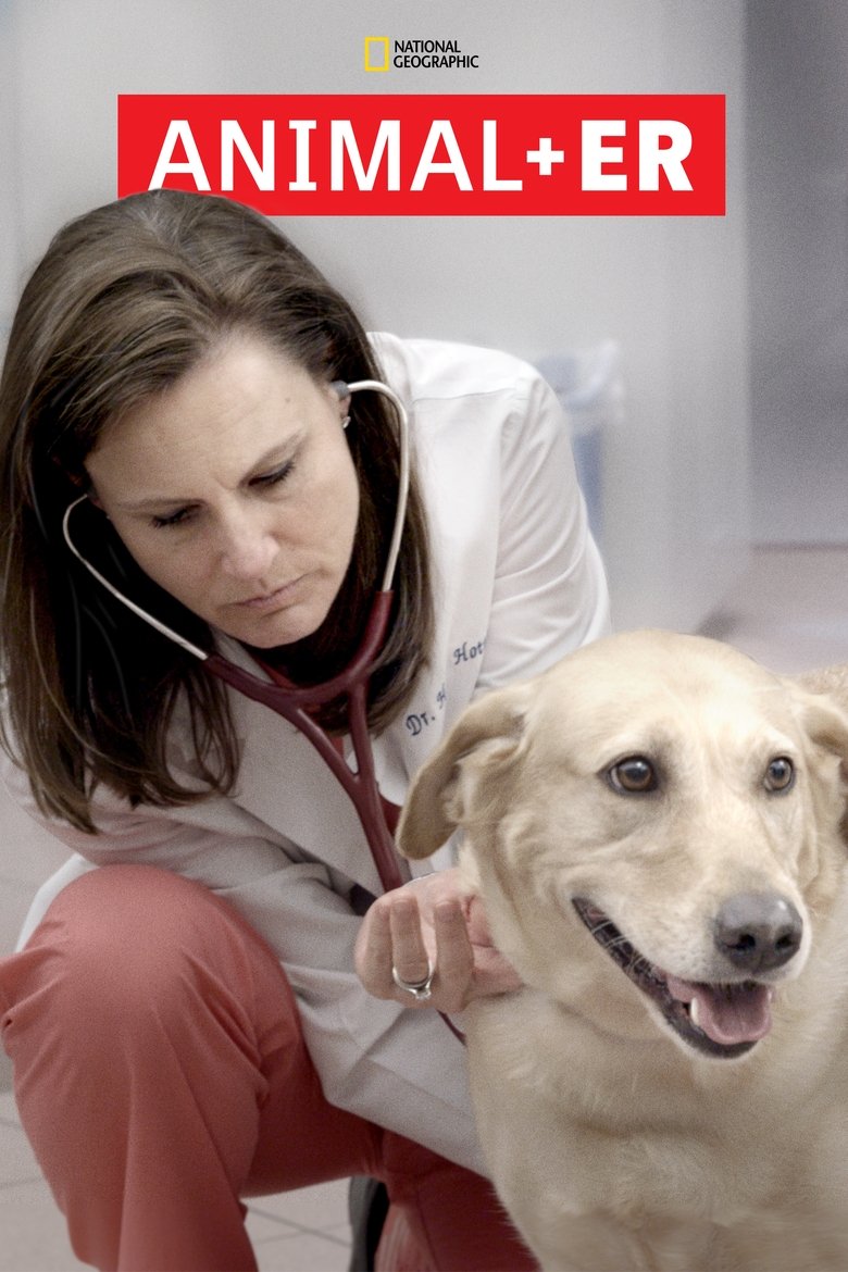 Poster of Animal ER