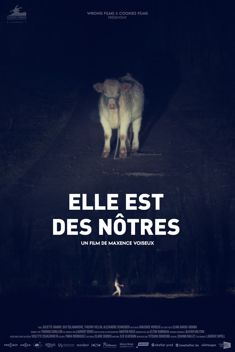 Poster of Elle est des nôtres