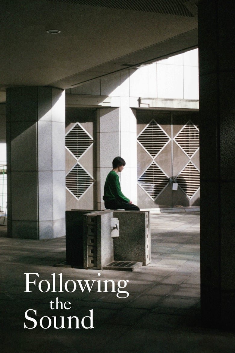 Poster of Following the Sound