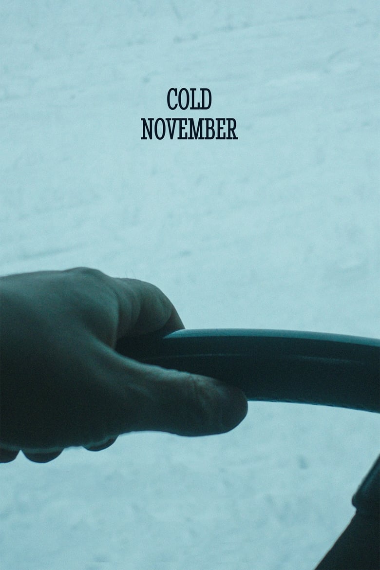 Poster of Cold November