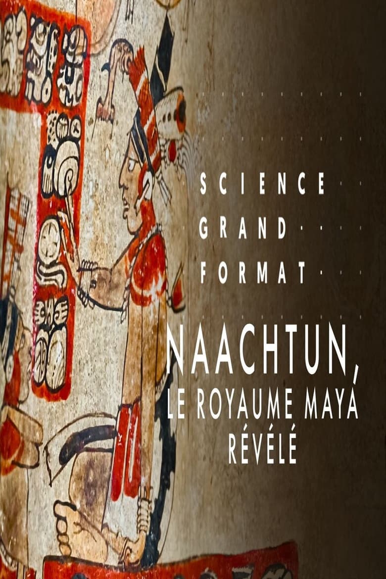 Poster of Naachtun, le royaume maya révélé