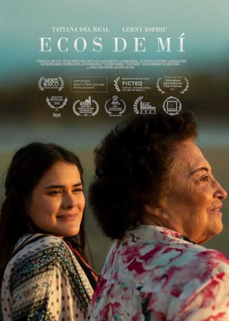 Poster of Echoes of Me