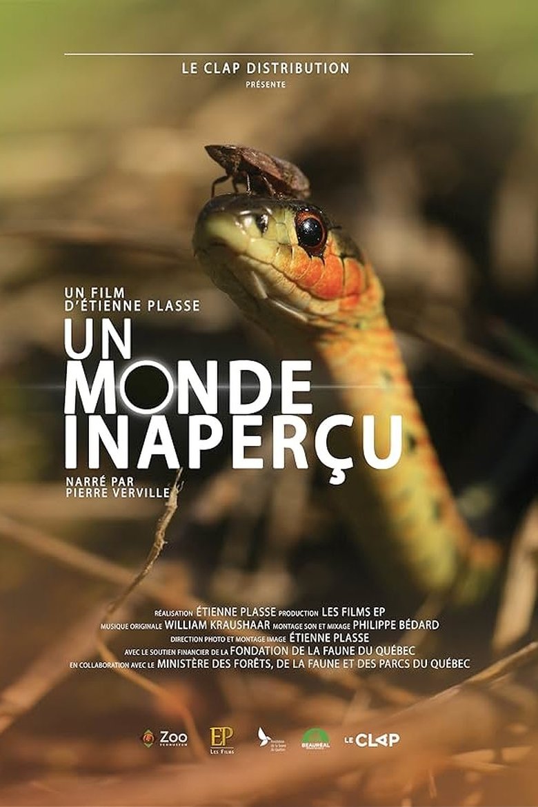 Poster of Un monde inaperçu