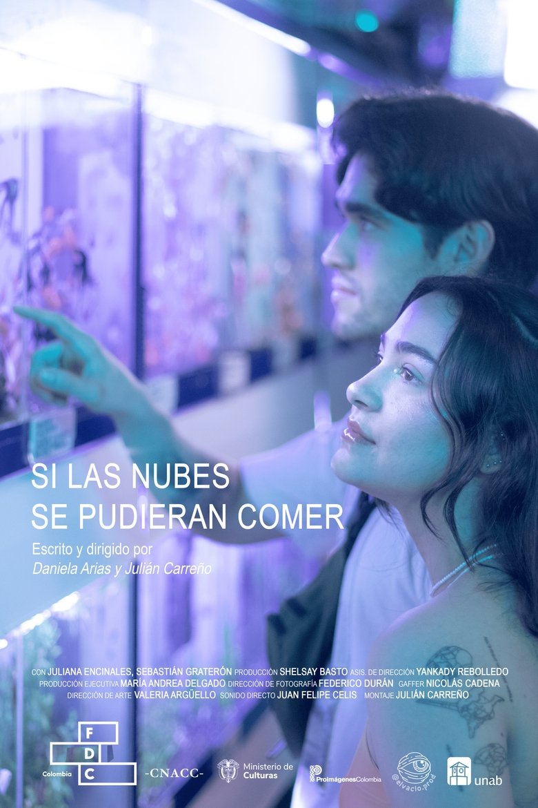 Poster of Si Las Nubes Se Pudieran Comer