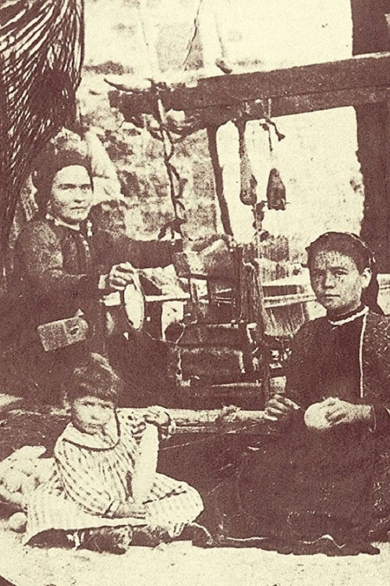 Poster of Wallachian Nomads