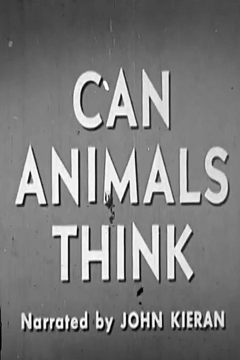 Poster of Can Animals Think