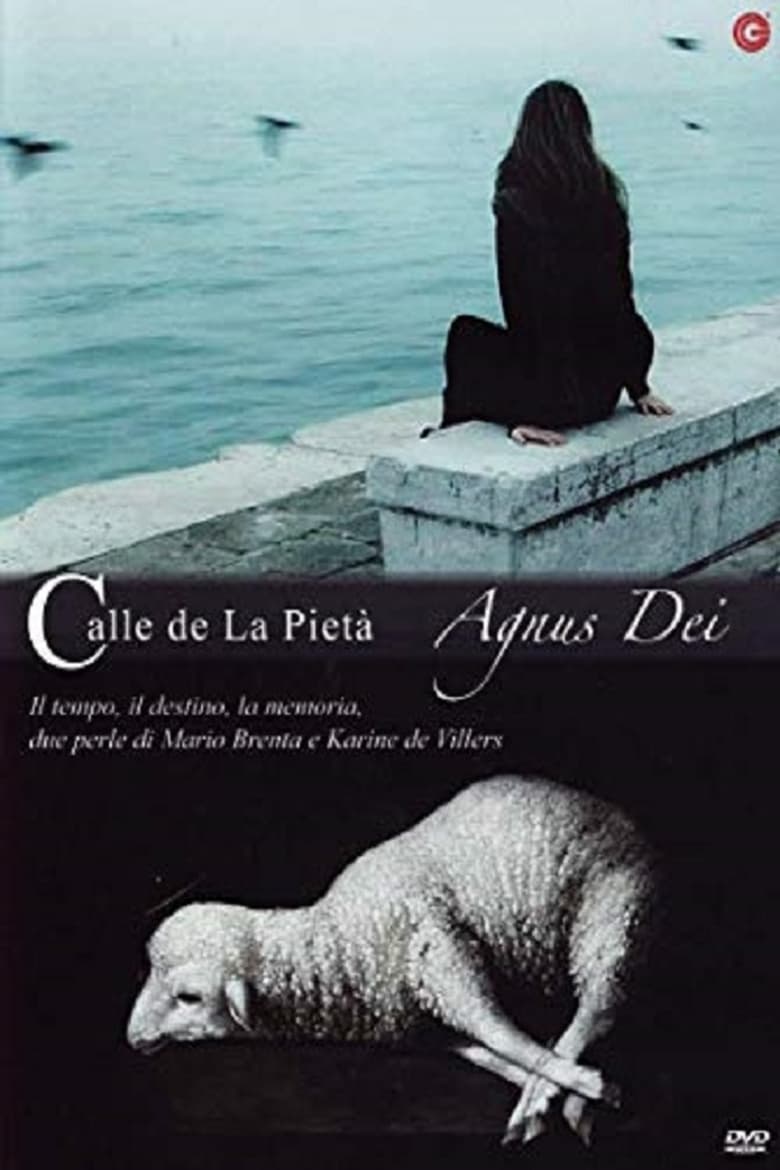 Poster of Calle de la pietà