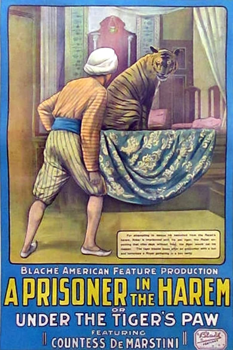 Poster of A Prisoner in the Harem