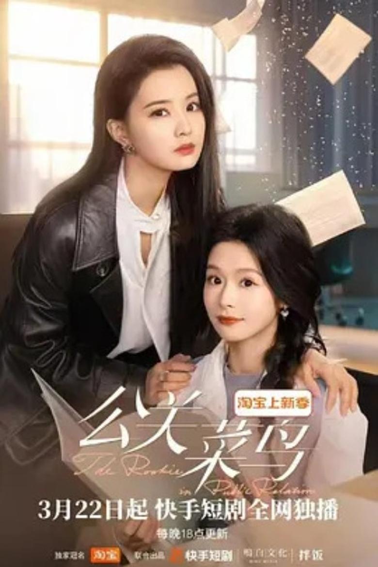 Poster of The Rookie in Public Relation