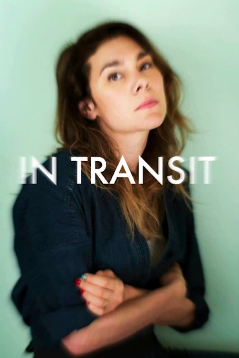 Poster of In Transit