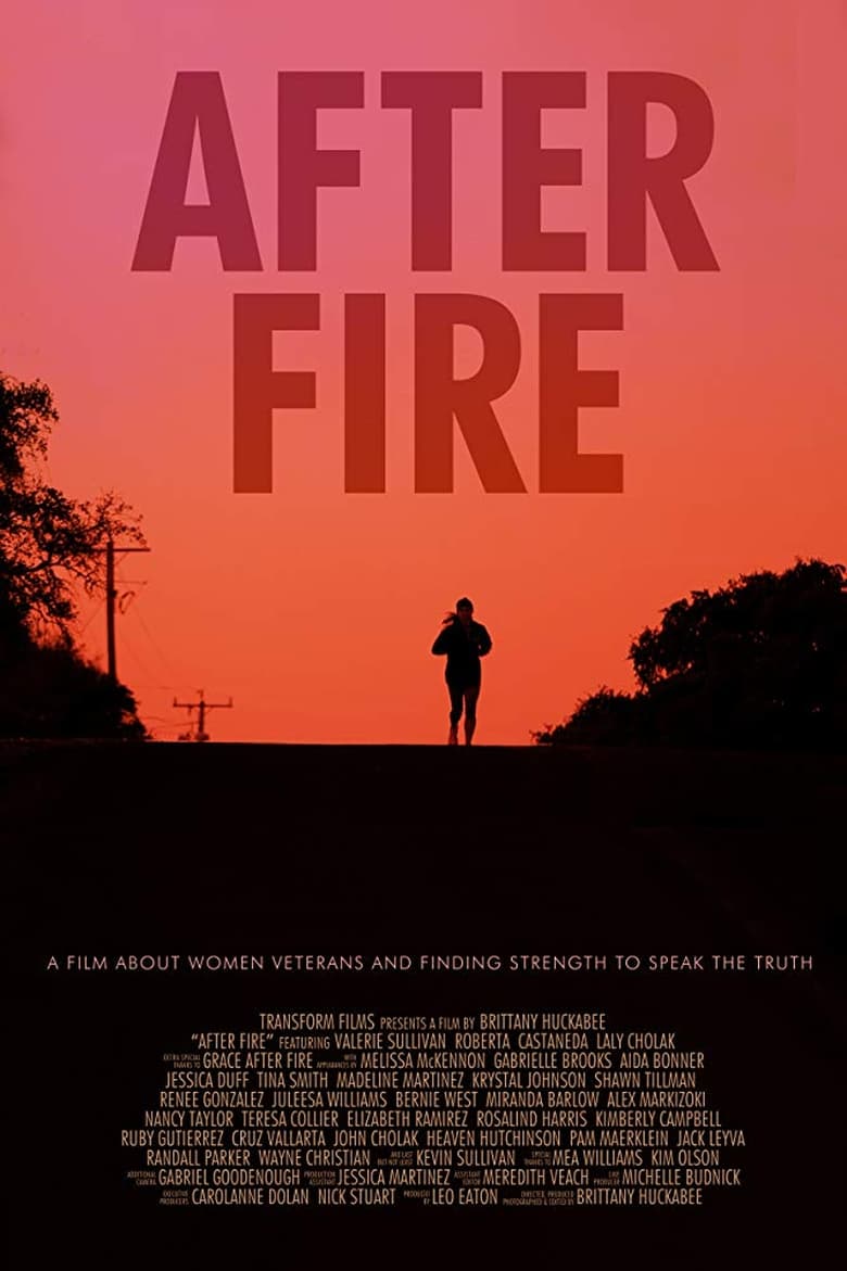 Poster of After Fire