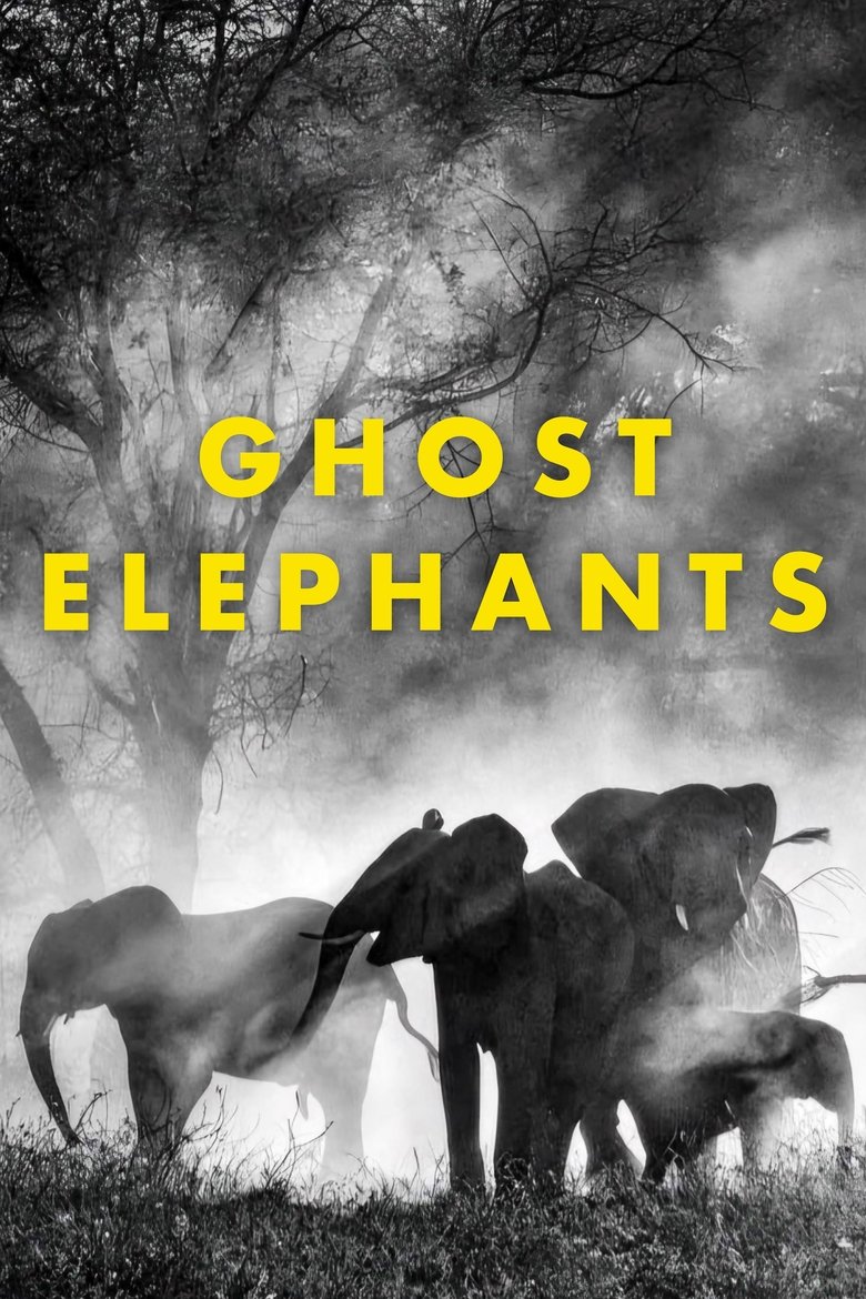 Poster of Ghost Elephants