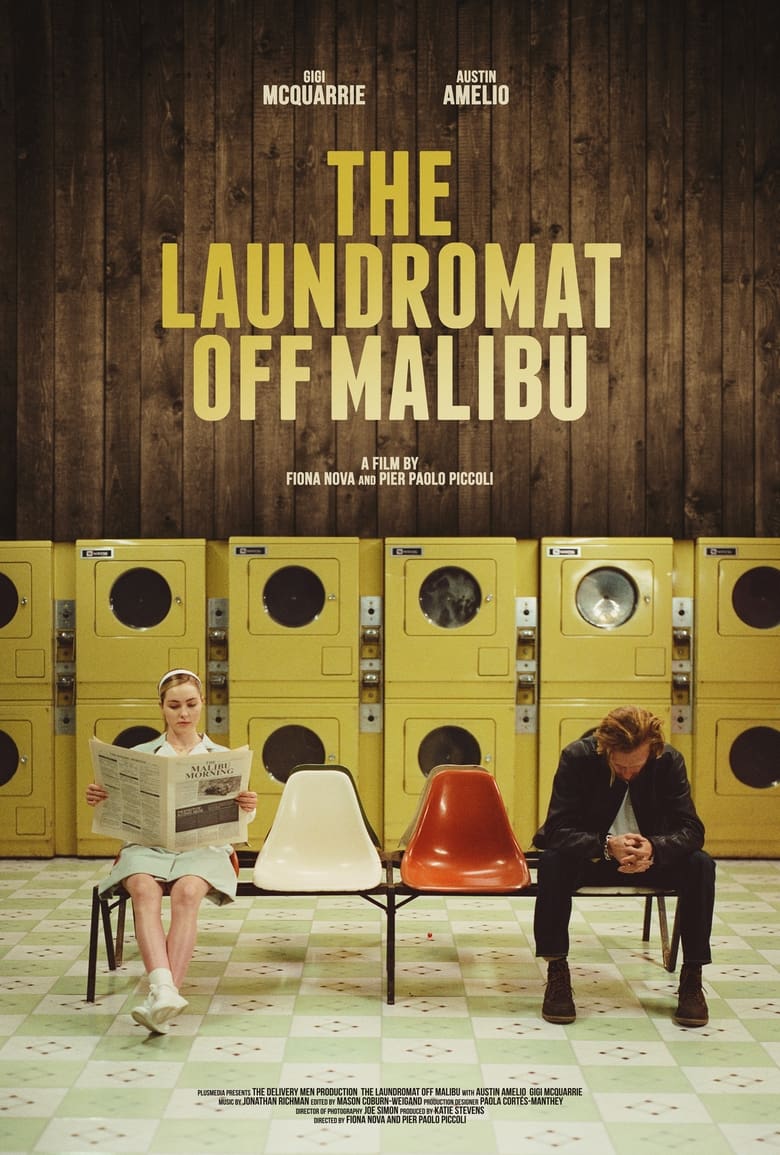 Poster of The Laundromat Off Malibu