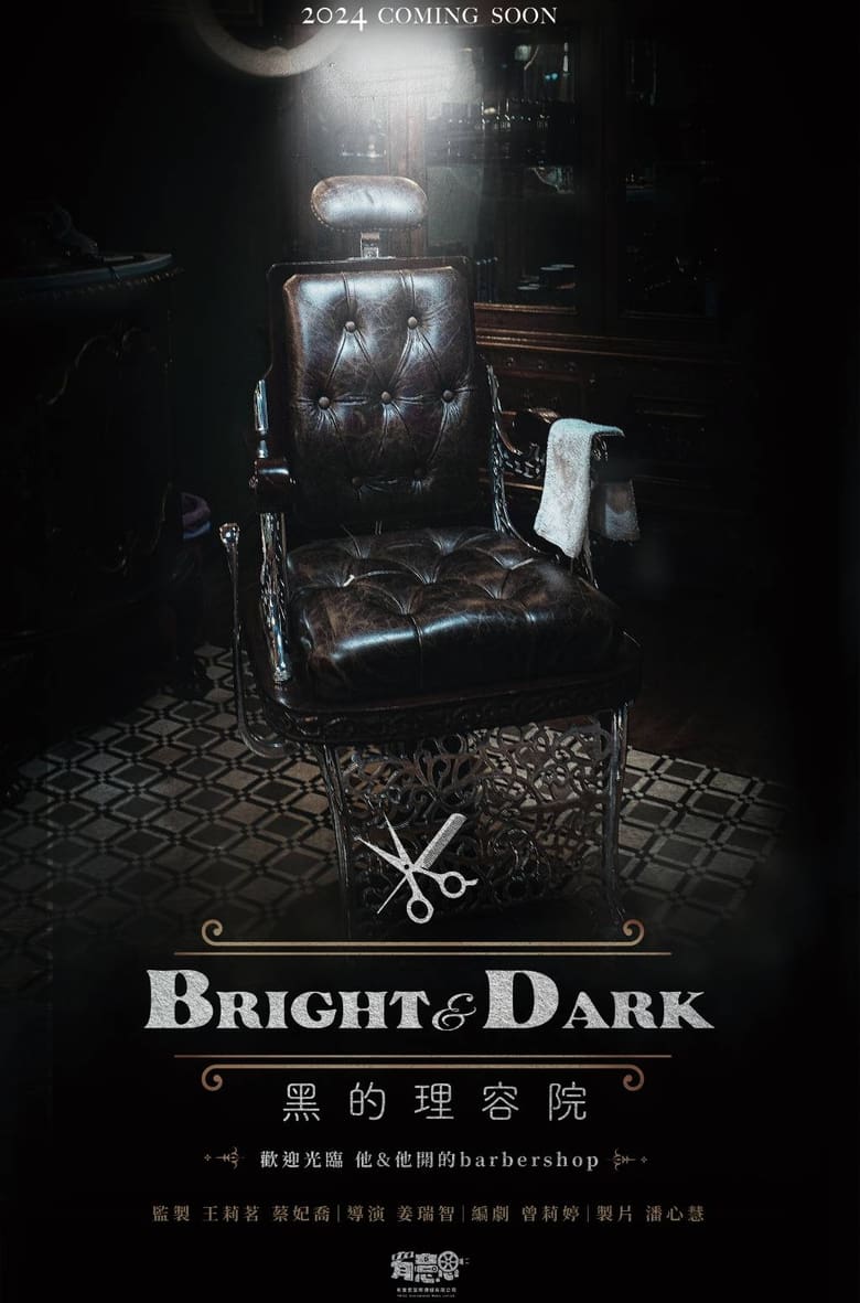 Poster of Bright & Dark