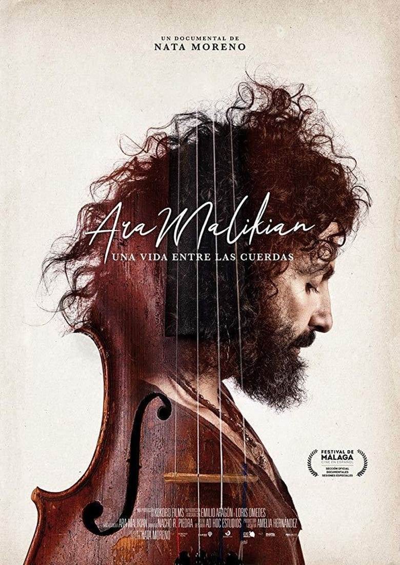 Poster of Ara Malikian: una vida entre las cuerdas