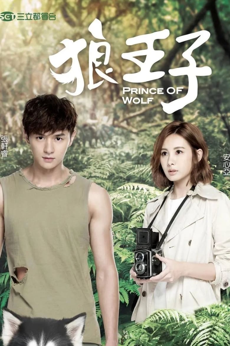 Poster of Prince of Wolf