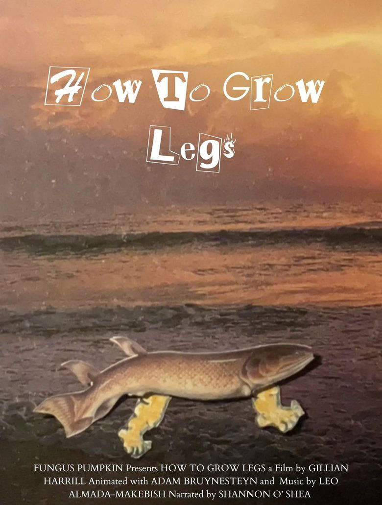 Poster of How to Grow Legs