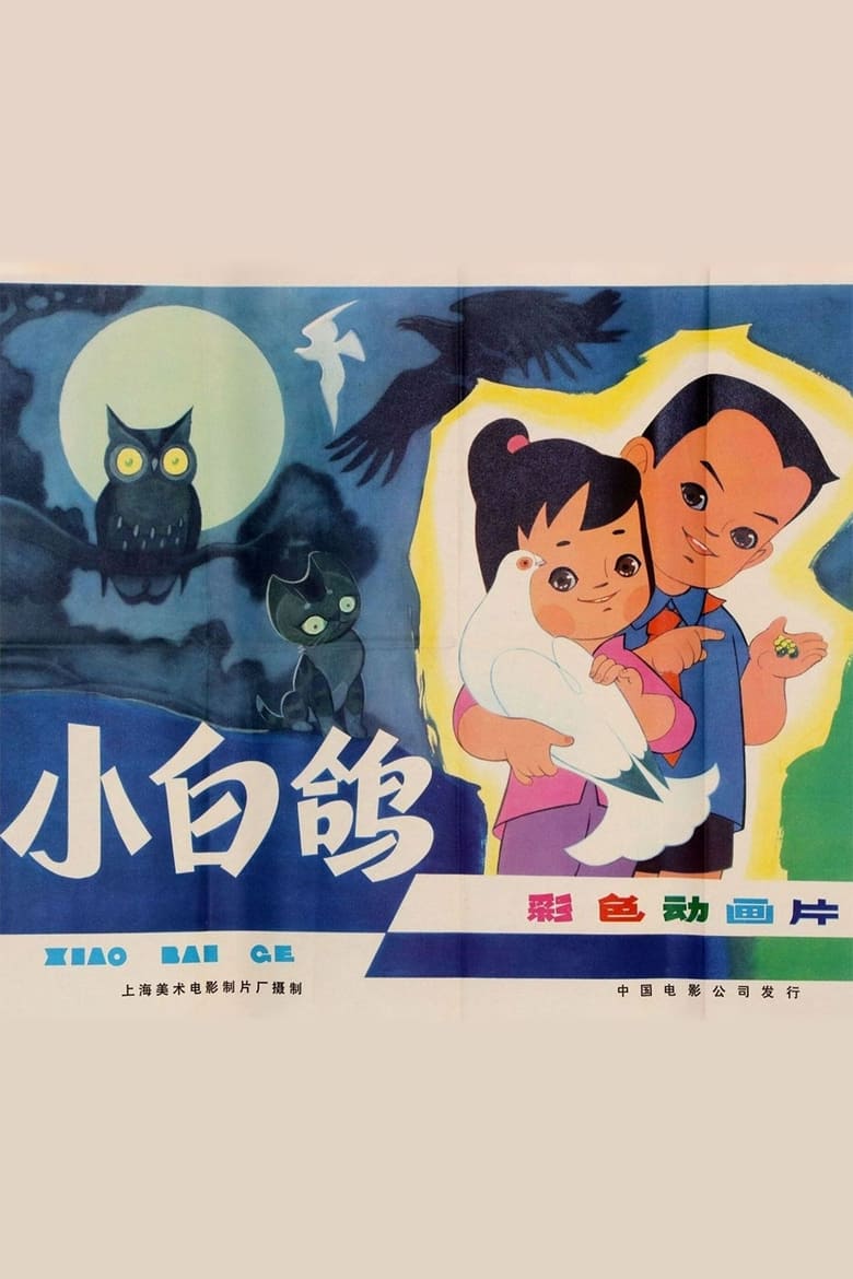 Poster of 小白鸽