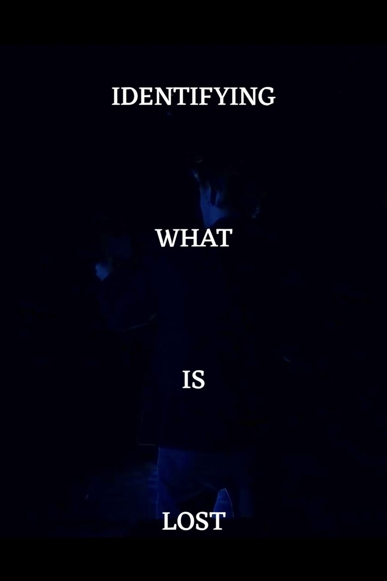 Poster of Identifying What's Lost
