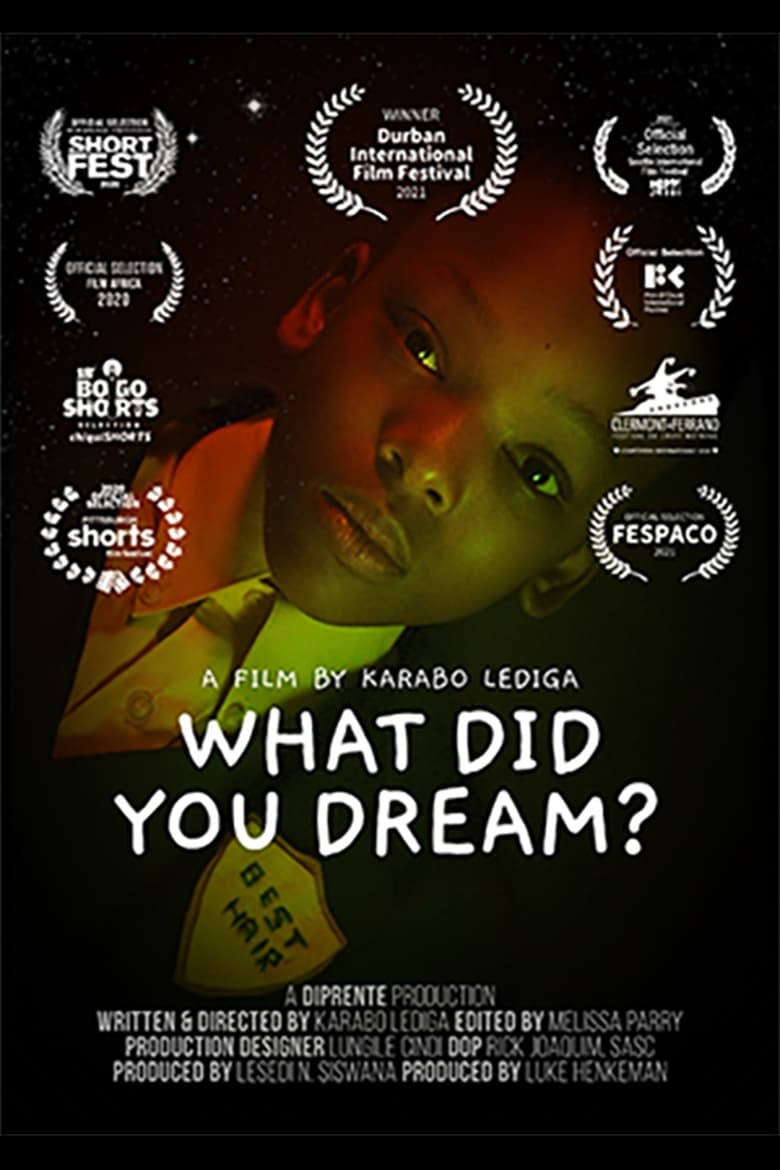 Poster of What Did You Dream?