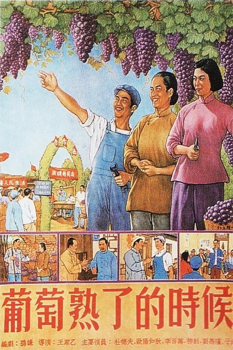 Poster of When Grapes Are Ripe