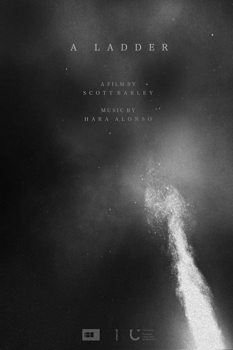 Poster of A Ladder
