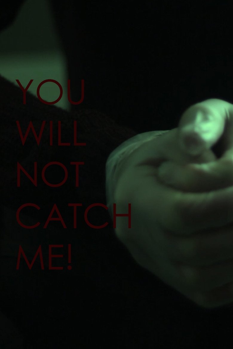 Poster of You Will Not Catch Me!