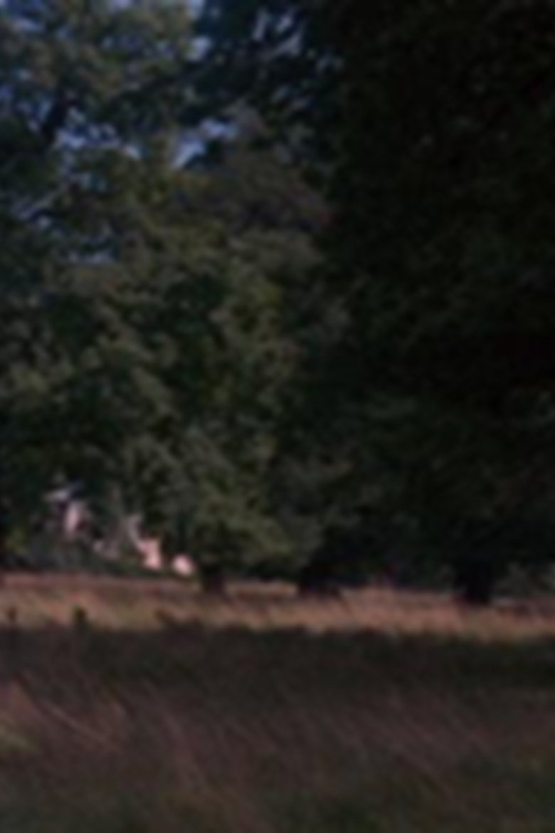 Poster of Tree