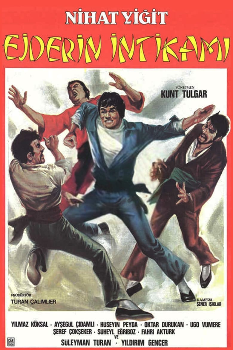 Poster of Ejderin İntikamı