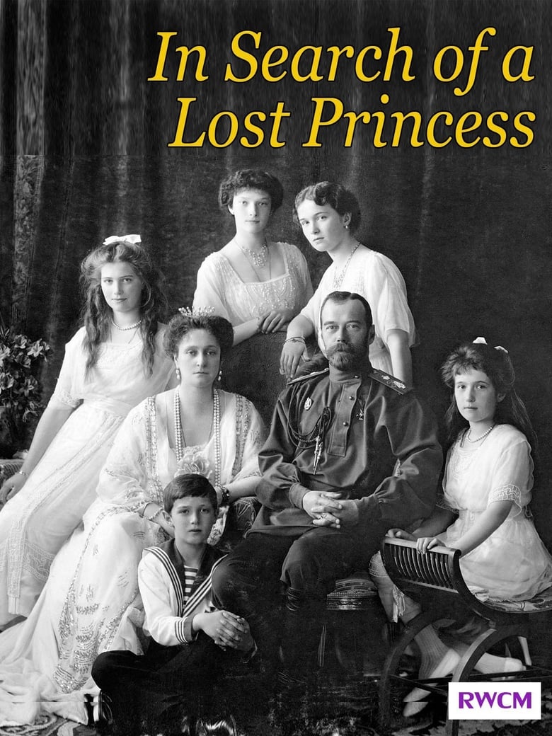 Poster of In Search of a Lost Princess