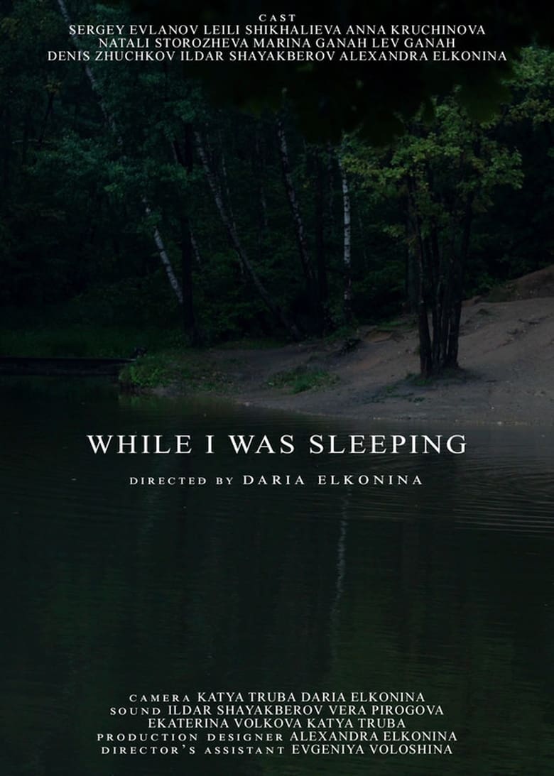 Poster of While I was sleeping