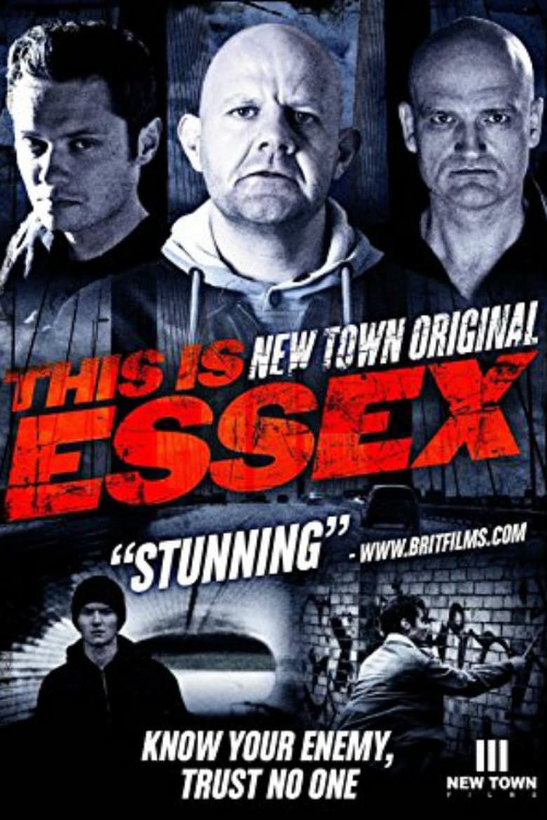 Poster of New Town Original