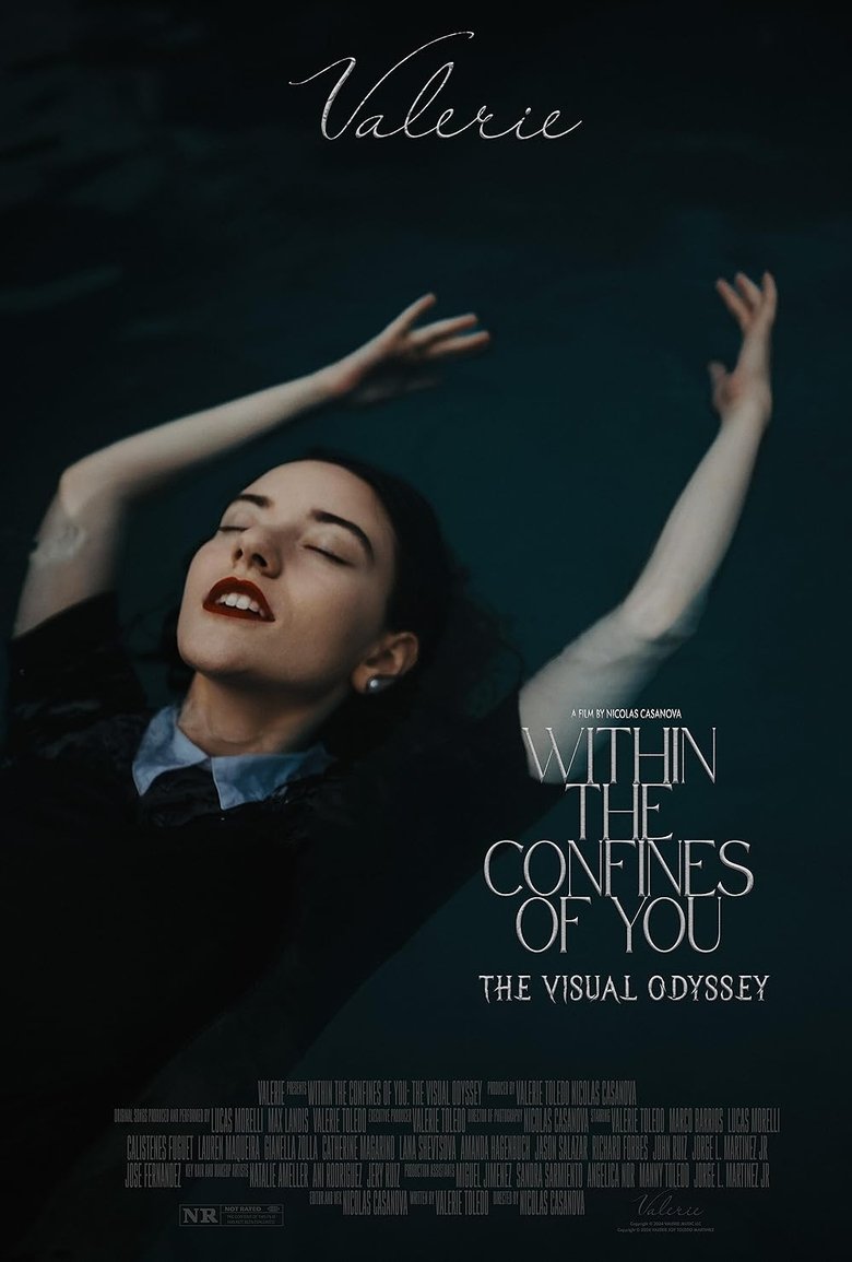 Poster of Within the Confines of You: The Visual Odyssey