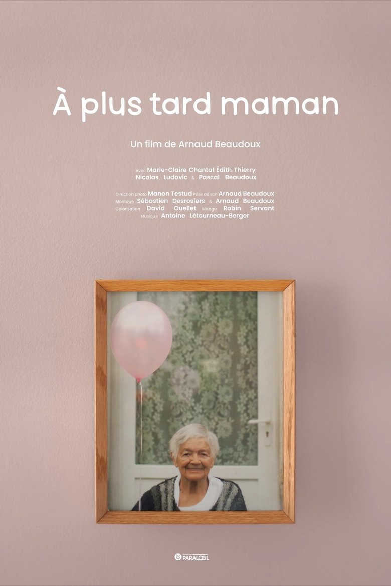 Poster of À plus tard maman