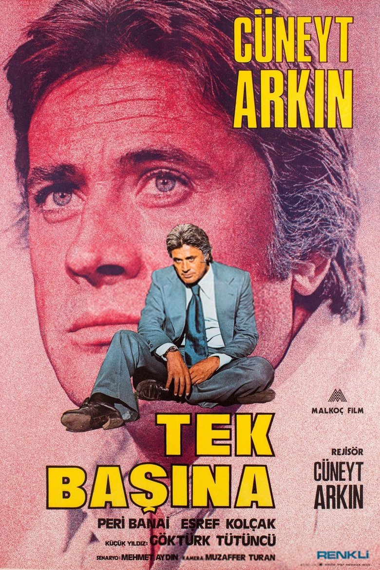Poster of Tek Başına
