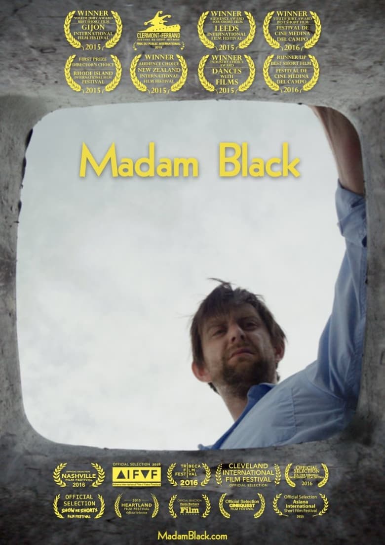 Poster of Madam Black