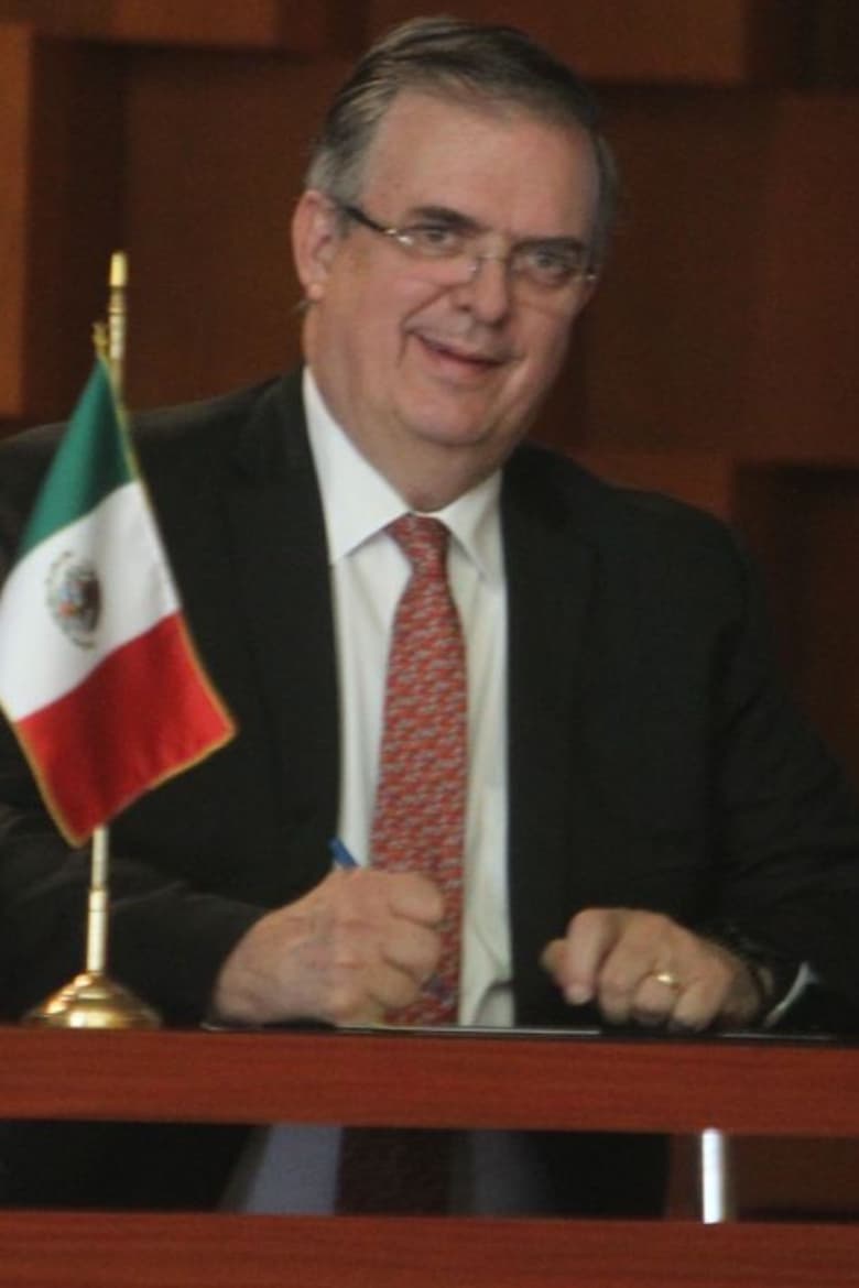 Portrait of Marcelo Ebrard