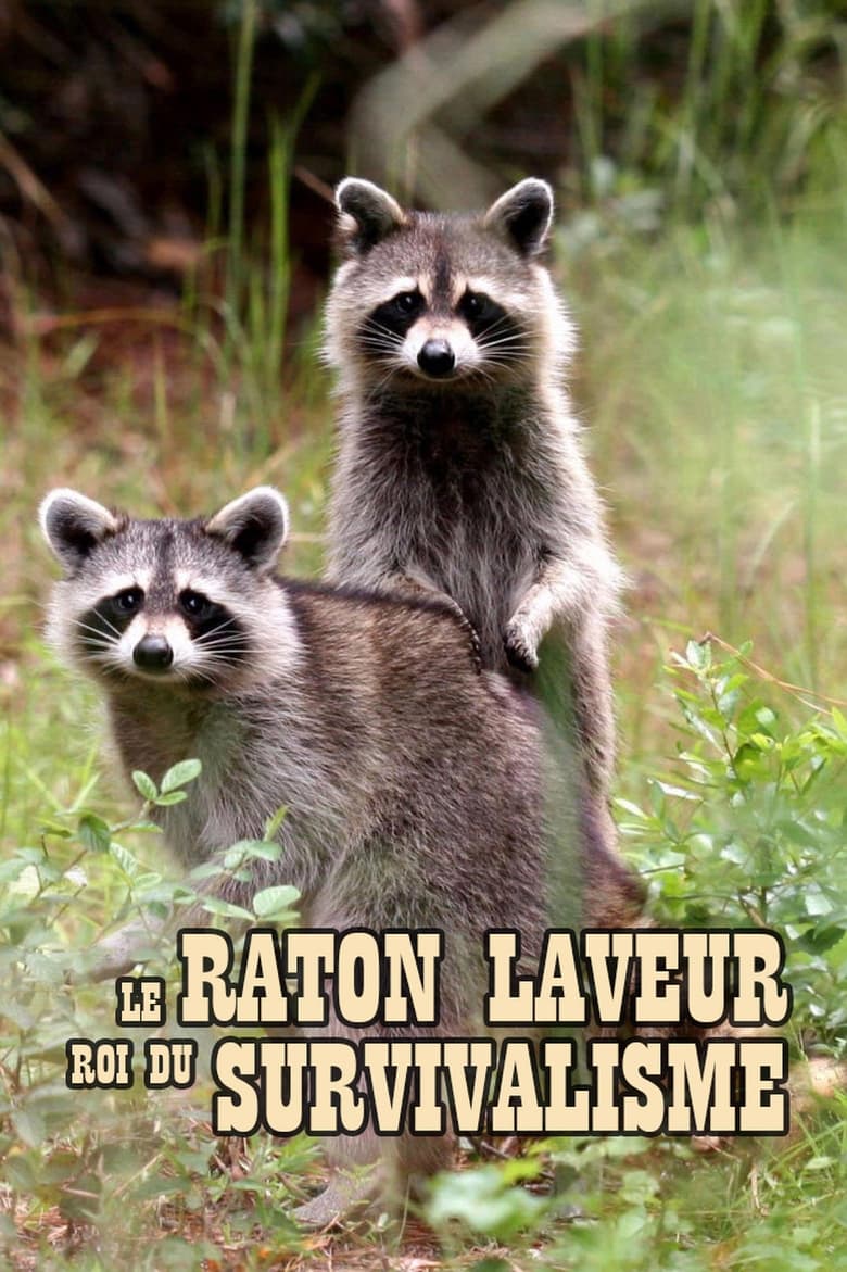 Poster of The Raccoon; The King of Survivalism