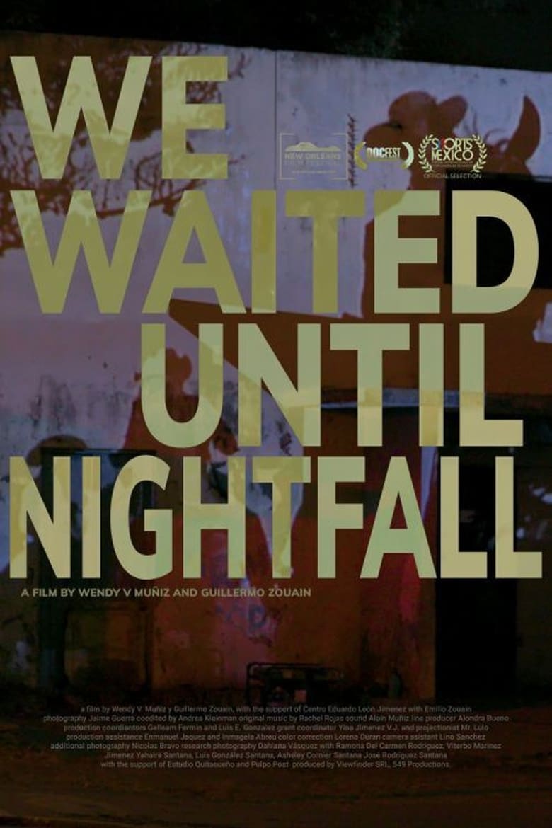 Poster of We Waited Until Nightfall