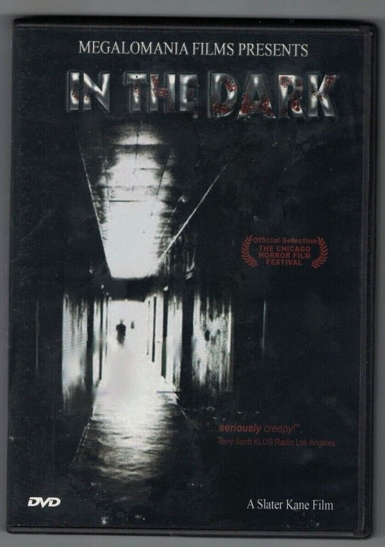 Poster of In the Dark