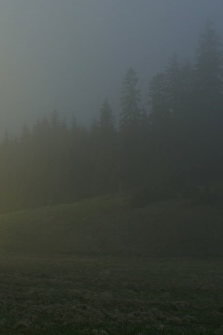 Poster of In A Beautiful And Quiet Location