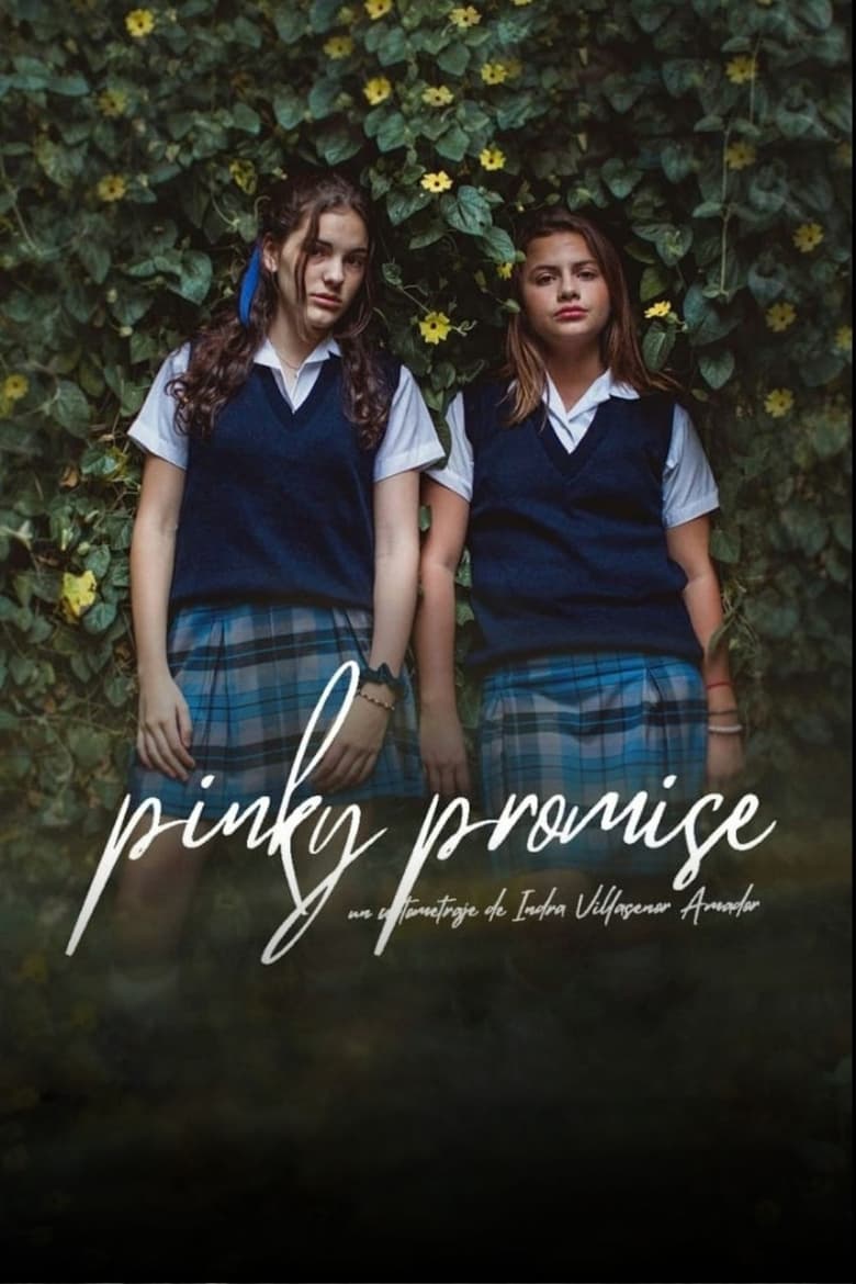 Poster of Pinky Promise