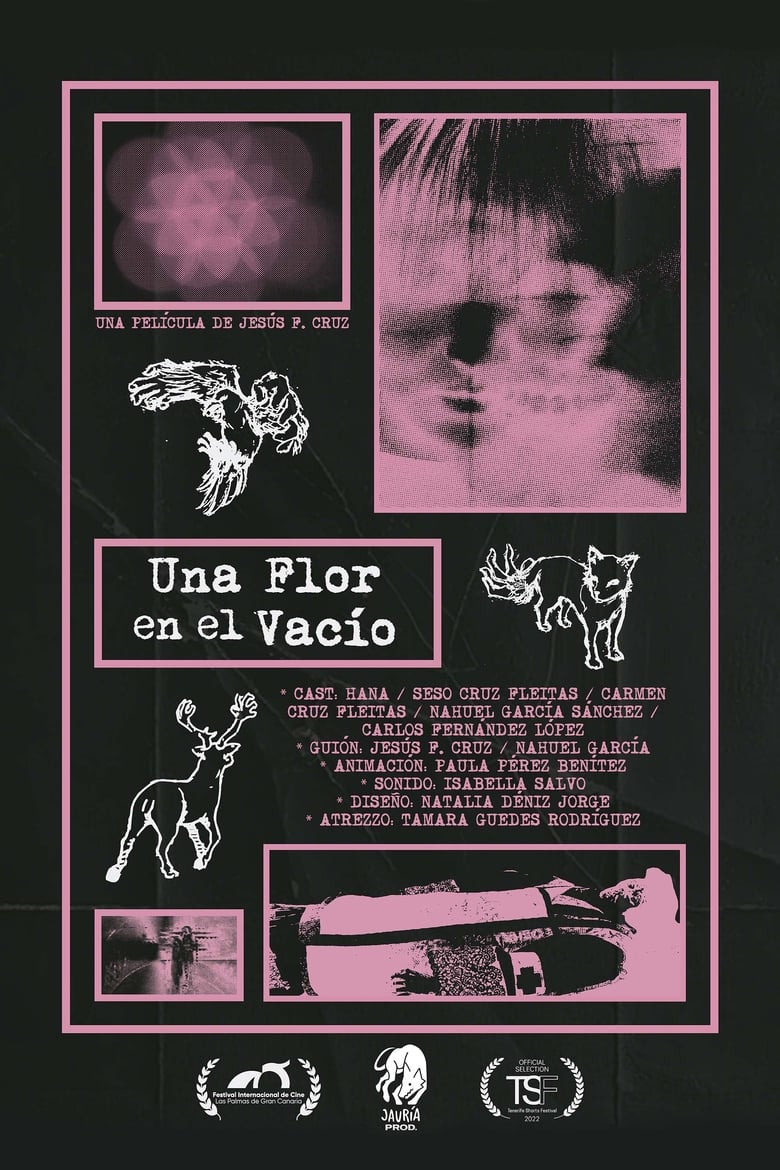 Poster of Una Flor en el Vacío