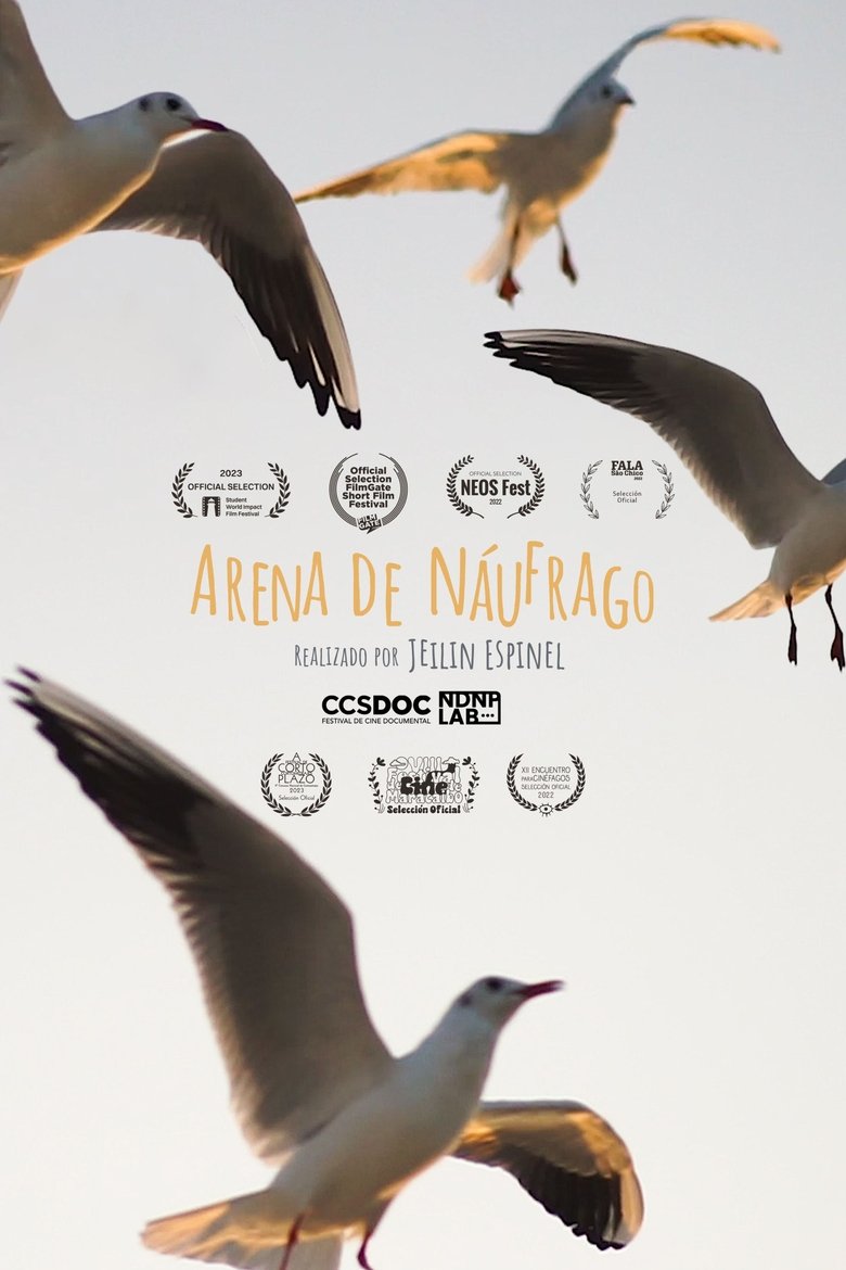 Poster of Arena de Náufrago