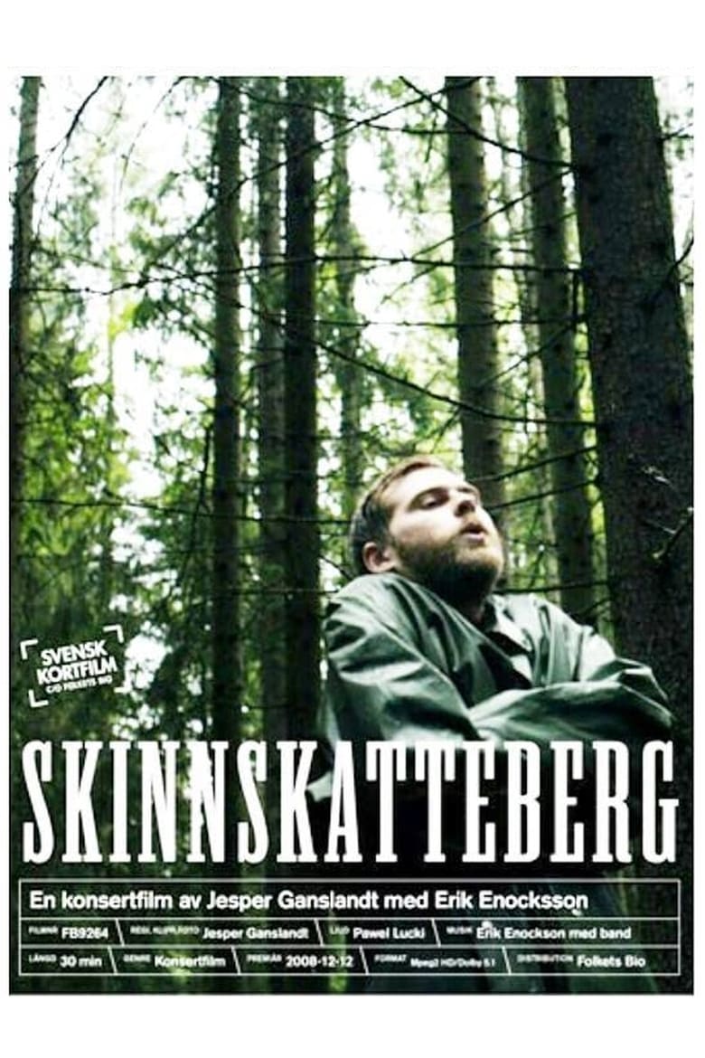 Poster of Skinnskatteberg