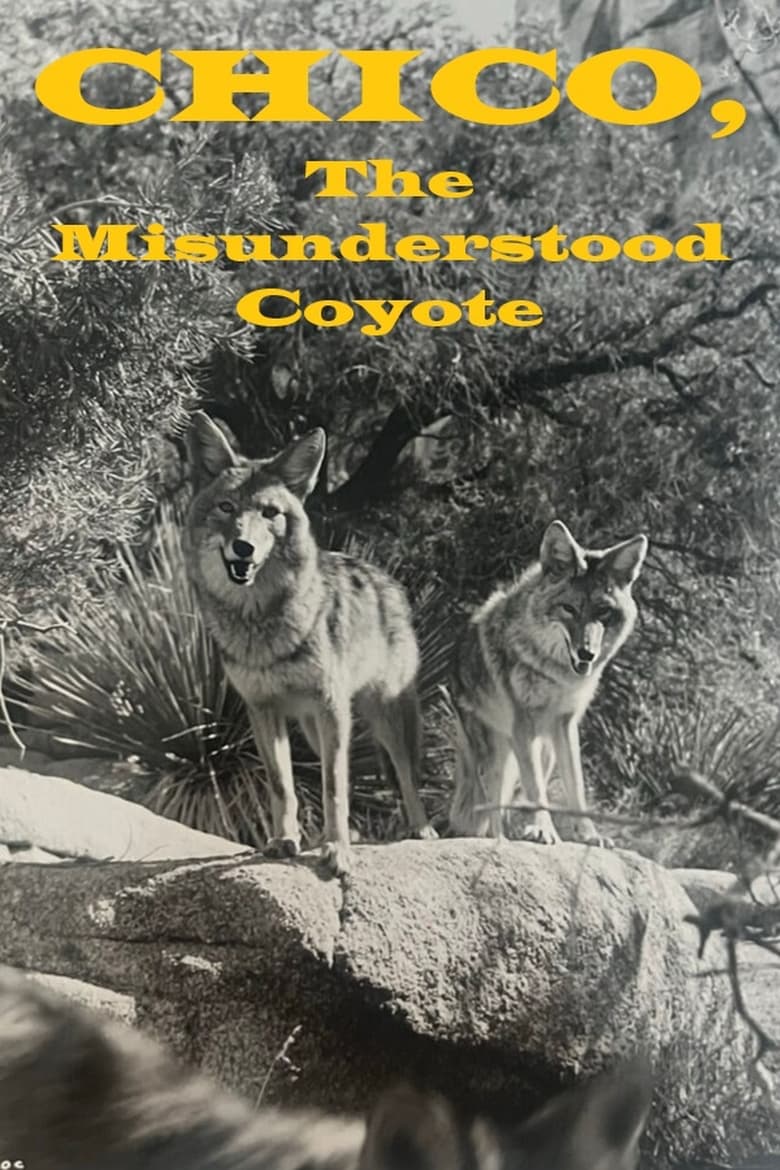 Poster of Chico, the Misunderstood Coyote